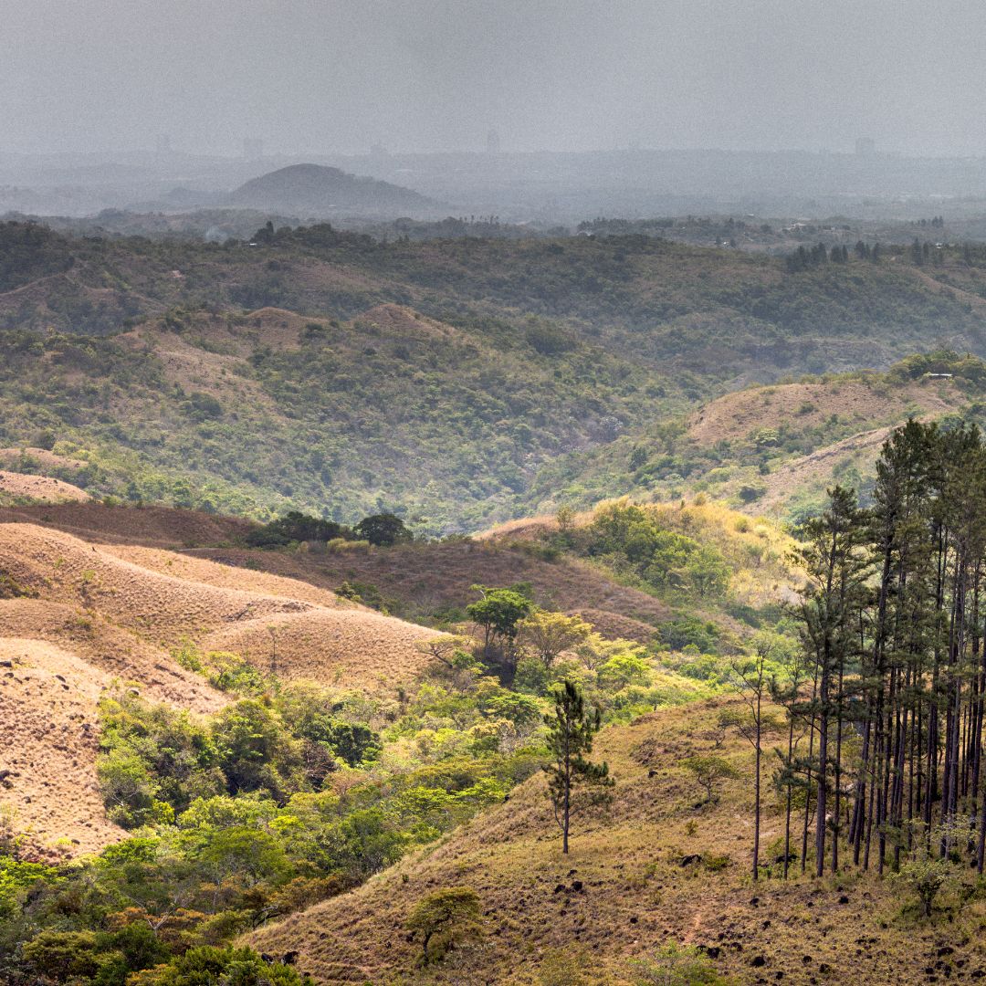 Panama 2025 Overton Travel